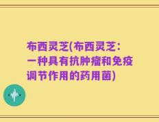 布西灵芝(布西灵芝：一种具有抗肿瘤和免疫调节作用的药用菌)