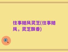 往事随风灵芝(往事随风，灵芝飘香)