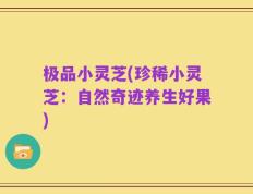 极品小灵芝(珍稀小灵芝：自然奇迹养生好果)