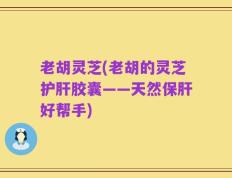 老胡灵芝(老胡的灵芝护肝胶囊——天然保肝好帮手)