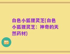 白色小狐狸灵芝(白色小狐狸灵芝：神奇的天然药材)