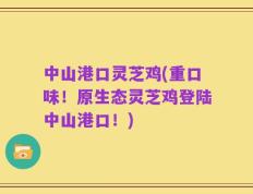 中山港口灵芝鸡(重口味！原生态灵芝鸡登陆中山港口！)