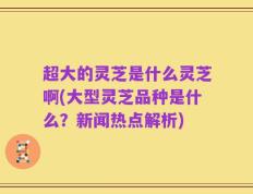 超大的灵芝是什么灵芝啊(大型灵芝品种是什么？新闻热点解析)