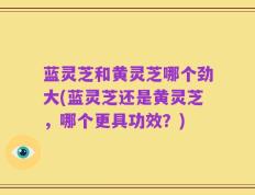 蓝灵芝和黄灵芝哪个劲大(蓝灵芝还是黄灵芝，哪个更具功效？)