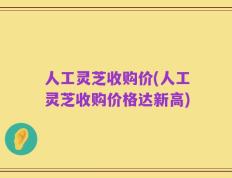 人工灵芝收购价(人工灵芝收购价格达新高)