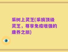 采树上灵芝(采摘顶级灵芝，尊享免疫增强的康养之旅)