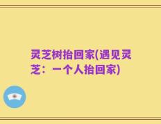 灵芝树抬回家(遇见灵芝：一个人抬回家)