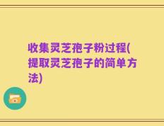 收集灵芝孢子粉过程(提取灵芝孢子的简单方法)
