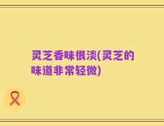 灵芝香味很淡(灵芝的味道非常轻微)