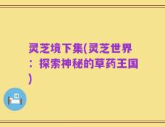 灵芝境下集(灵芝世界：探索神秘的草药王国)