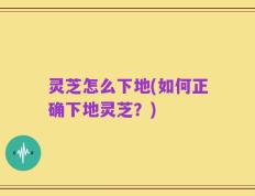 灵芝怎么下地(如何正确下地灵芝？)