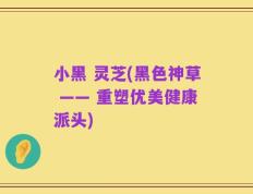 小黑 灵芝(黑色神草 —— 重塑优美健康派头)