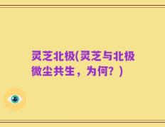 灵芝北极(灵芝与北极微尘共生，为何？)