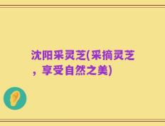 沈阳采灵芝(采摘灵芝，享受自然之美)