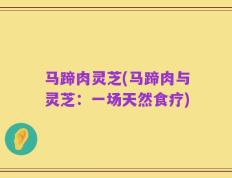 马蹄肉灵芝(马蹄肉与灵芝：一场天然食疗)