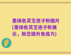 墨绿色灵芝孢子粉图片(墨绿色灵芝孢子粉展示，助您提升免疫力)