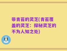 带青苔的灵芝(青苔覆盖的灵芝：探秘灵芝的不为人知之处)