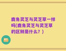 鹿角灵芝与灵芝草一样吗(鹿角灵芝与灵芝草的区别是什么？)