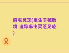麻屯灵芝(重生于破败境 追踪麻屯灵芝足迹)