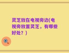 灵芝放在电视旁边(电视旁放置灵芝，有哪些好处？)