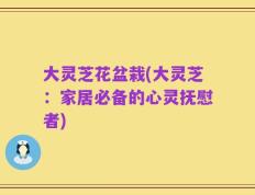大灵芝花盆栽(大灵芝：家居必备的心灵抚慰者)