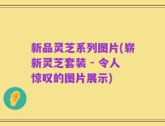 新品灵芝系列图片(崭新灵芝套装 - 令人惊叹的图片展示)
