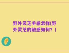 野外灵芝手感怎样(野外灵芝的触感如何？)