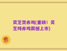 灵芝煲赤鸡(重磅！灵芝炖赤鸡震撼上市)