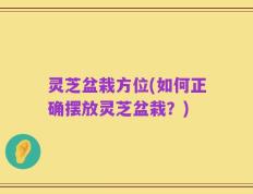 灵芝盆栽方位(如何正确摆放灵芝盆栽？)