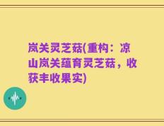 岚关灵芝菇(重构：凉山岚关蕴育灵芝菇，收获丰收果实)
