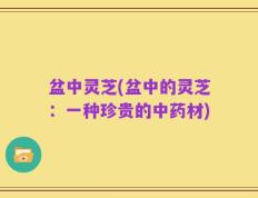 盆中灵芝(盆中的灵芝：一种珍贵的中药材)