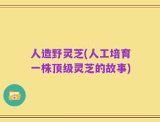 人造野灵芝(人工培育一株顶级灵芝的故事)