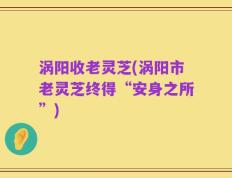 涡阳收老灵芝(涡阳市老灵芝终得“安身之所”)