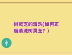 树灵芝的清洗(如何正确清洗树灵芝？)