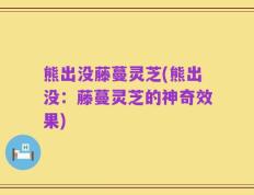 熊出没藤蔓灵芝(熊出没：藤蔓灵芝的神奇效果)