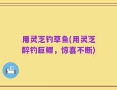 用灵芝钓草鱼(用灵芝醉钓巨鲤，惊喜不断)