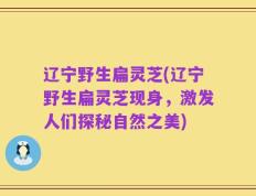 辽宁野生扁灵芝(辽宁野生扁灵芝现身，激发人们探秘自然之美)