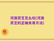 河源灵芝怎么吃(河源灵芝的正确食用方法)