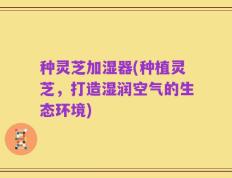 种灵芝加湿器(种植灵芝，打造湿润空气的生态环境)