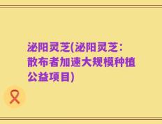泌阳灵芝(泌阳灵芝：散布者加速大规模种植公益项目)