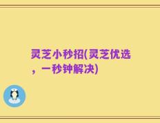 灵芝小秒招(灵芝优选，一秒钟解决)