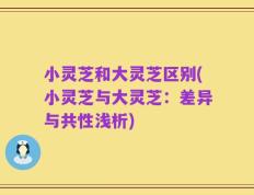 小灵芝和大灵芝区别(小灵芝与大灵芝：差异与共性浅析)