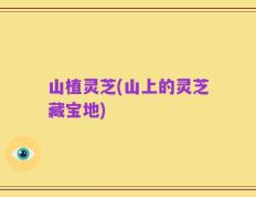 山植灵芝(山上的灵芝藏宝地)
