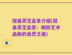 冠县灵芝盆景介绍(冠县灵芝盆景：精致艺术品般的自然之美)