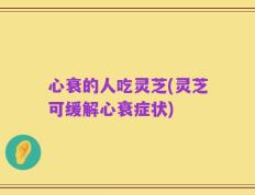 心衰的人吃灵芝(灵芝可缓解心衰症状)