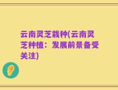 云南灵芝栽种(云南灵芝种植：发展前景备受关注)