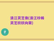 清江灵芝像(清江珍稀灵芝欣欣向荣)