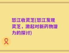 怒江收灵芝(怒江发现灵芝，激起对新药物潜力的探讨)