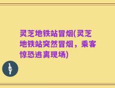 灵芝地铁站冒烟(灵芝地铁站突然冒烟，乘客惊恐逃离现场)