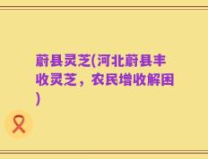 蔚县灵芝(河北蔚县丰收灵芝，农民增收解困)